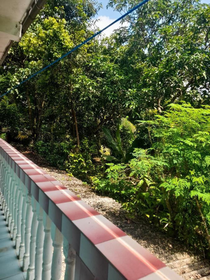 Hotel Santis Hikkaduwa Exteriör bild